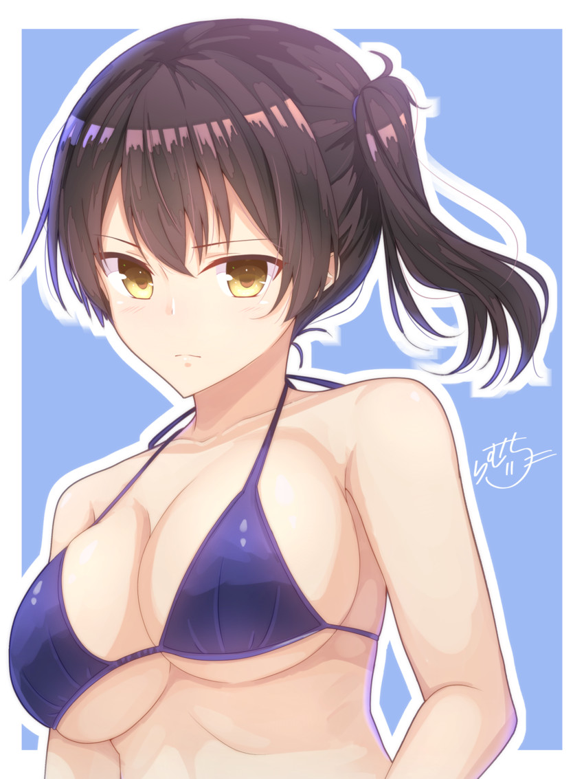 【画像あり】加賀の衝撃画像が流出！？(艦隊これくしょん)