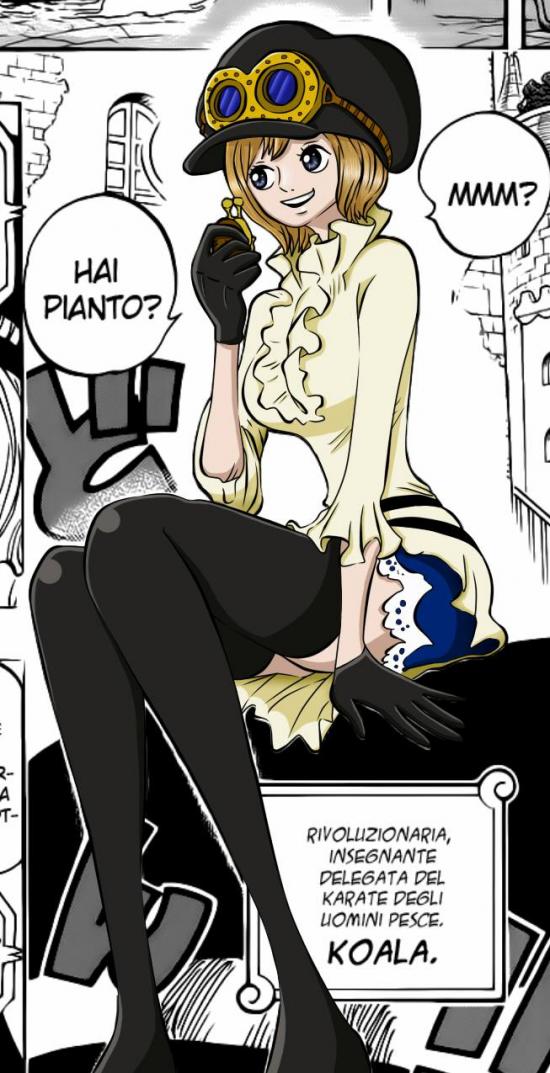 【ワンピース】コアラの抜けるセックス写真画像集