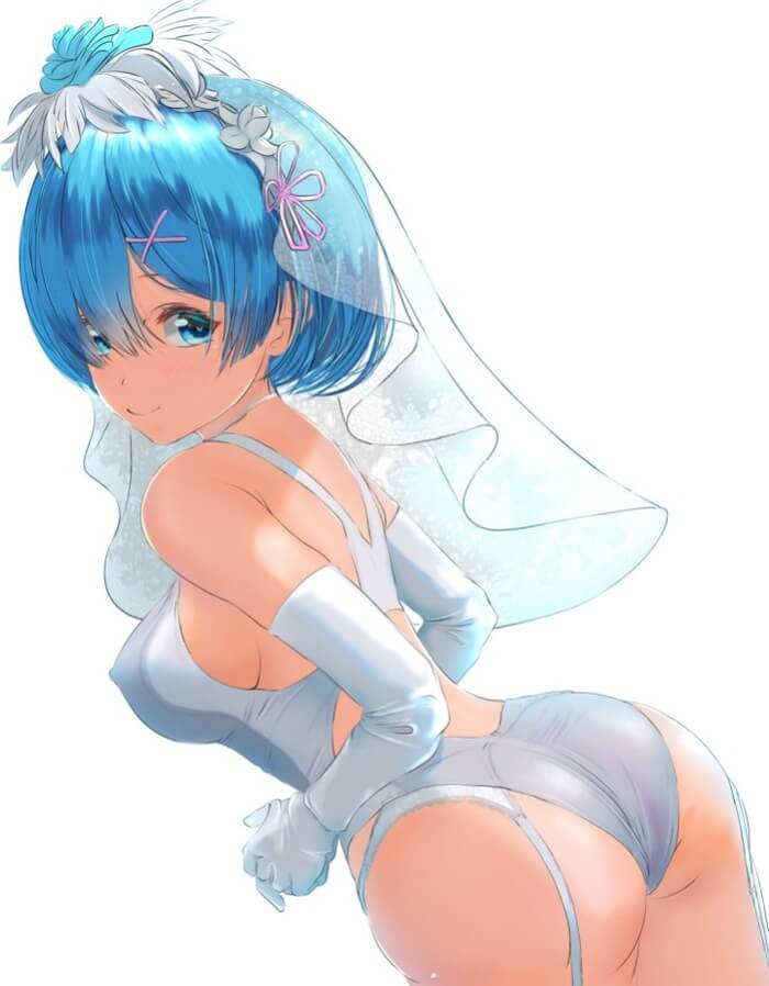 【Re:ゼロから始める異世界生活】レムのえっちで抜けるかわいいエロネタ画像まとめ