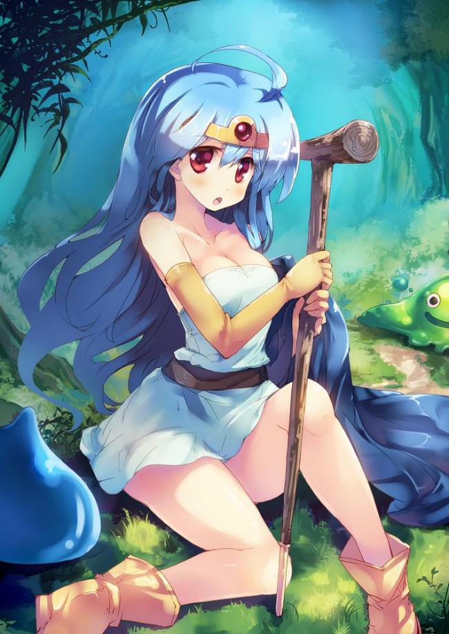 【ドラゴンクエスト】女賢者のえっちで抜けるかわいいエロネタ画像まとめ