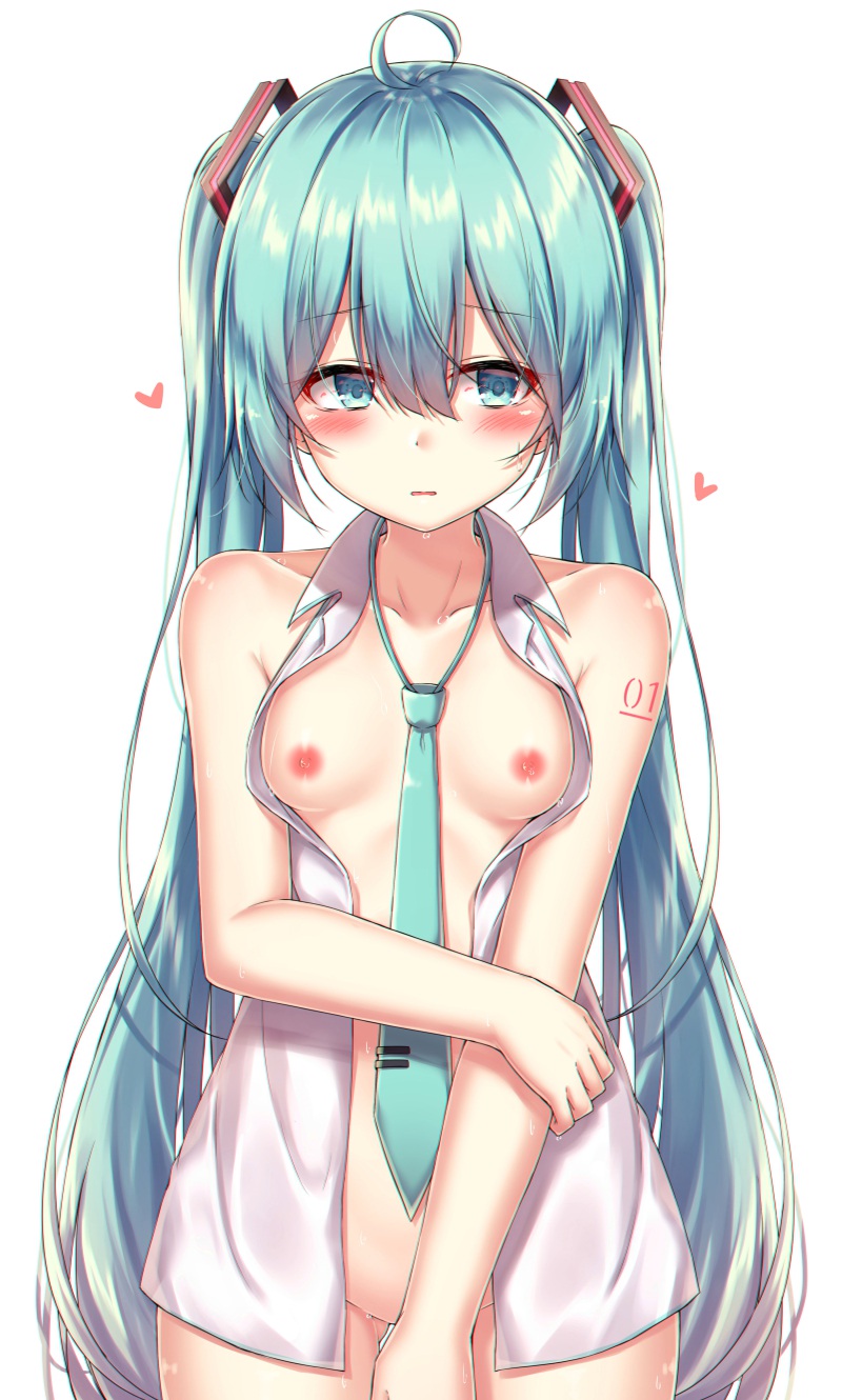 【ボーカロイド】初音ミクの即ヌキできるえっちな二次エロ画像集