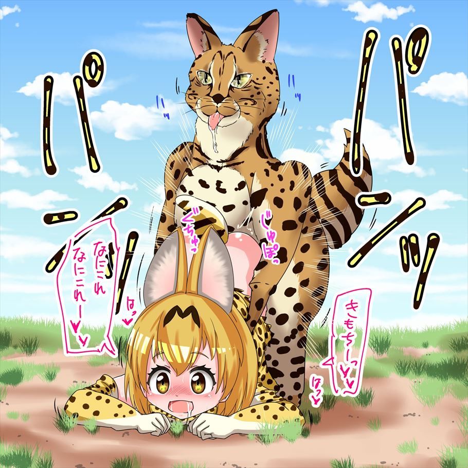 【けものフレンズ】サーバルの可愛いＨな二次エロ画像