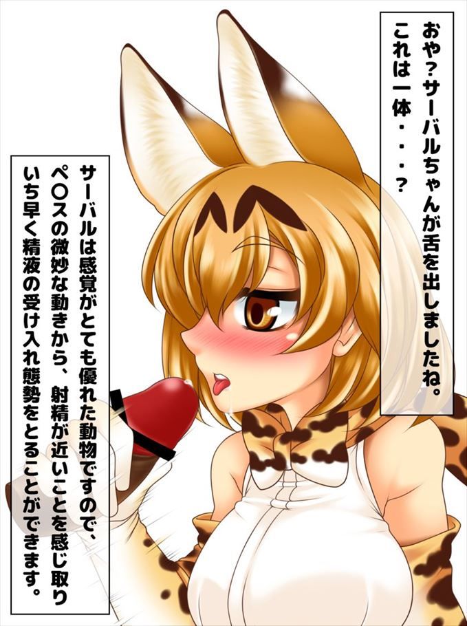 【けものフレンズ】サーバルの可愛いＨな二次エロ画像