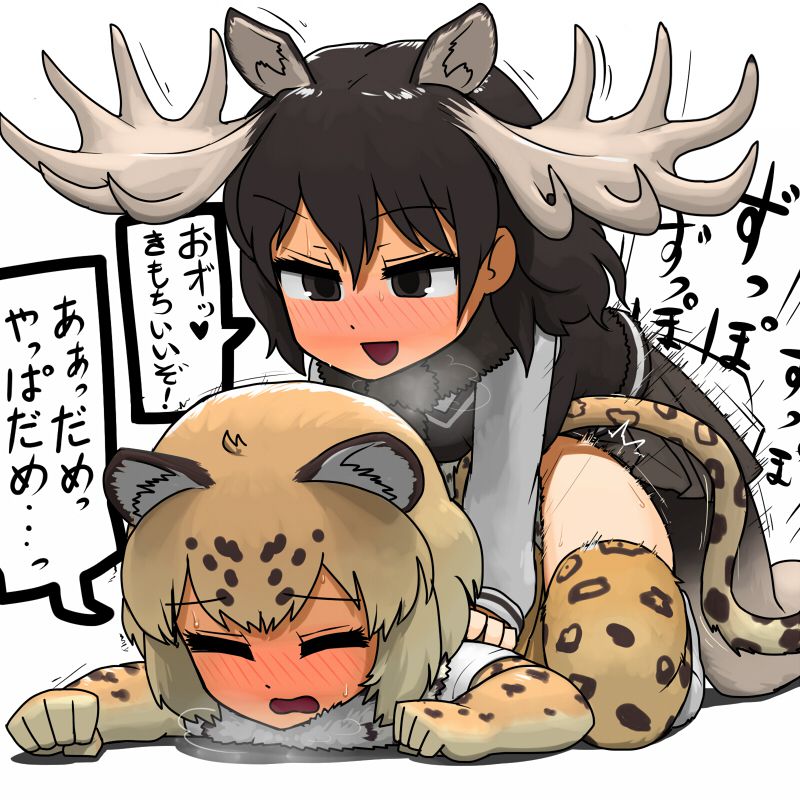 【けものフレンズ】ジャガーの無料(フリー)の二次エロ画像集