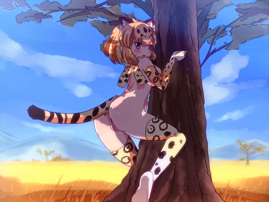 【けものフレンズ】ジャガーの無料(フリー)の二次エロ画像集