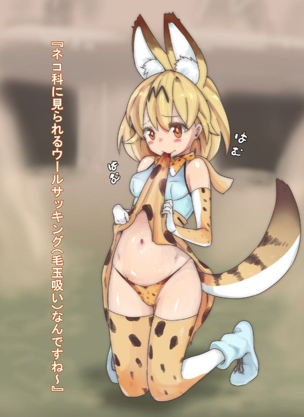 【けものフレンズ】サーバルの無料(フリー)の二次エロ画像集