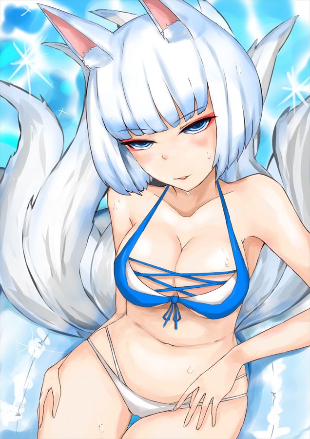 【画像あり】加賀の衝撃画像が流出！？(アズールレーン)