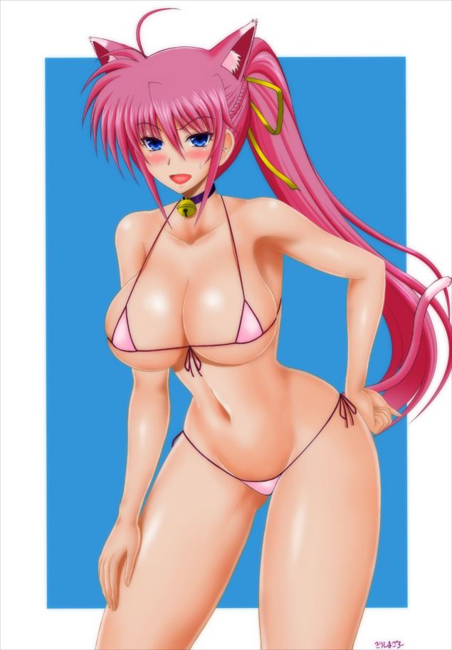 【画像あり】シグナムが闇風俗で本番解禁www(魔法少女リリカルなのは)