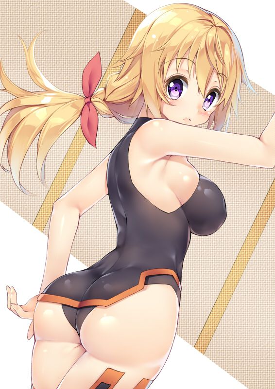 【インフィニット・ストラトス】シャルロット・デュノアのhentai二次エロ画像まとめ