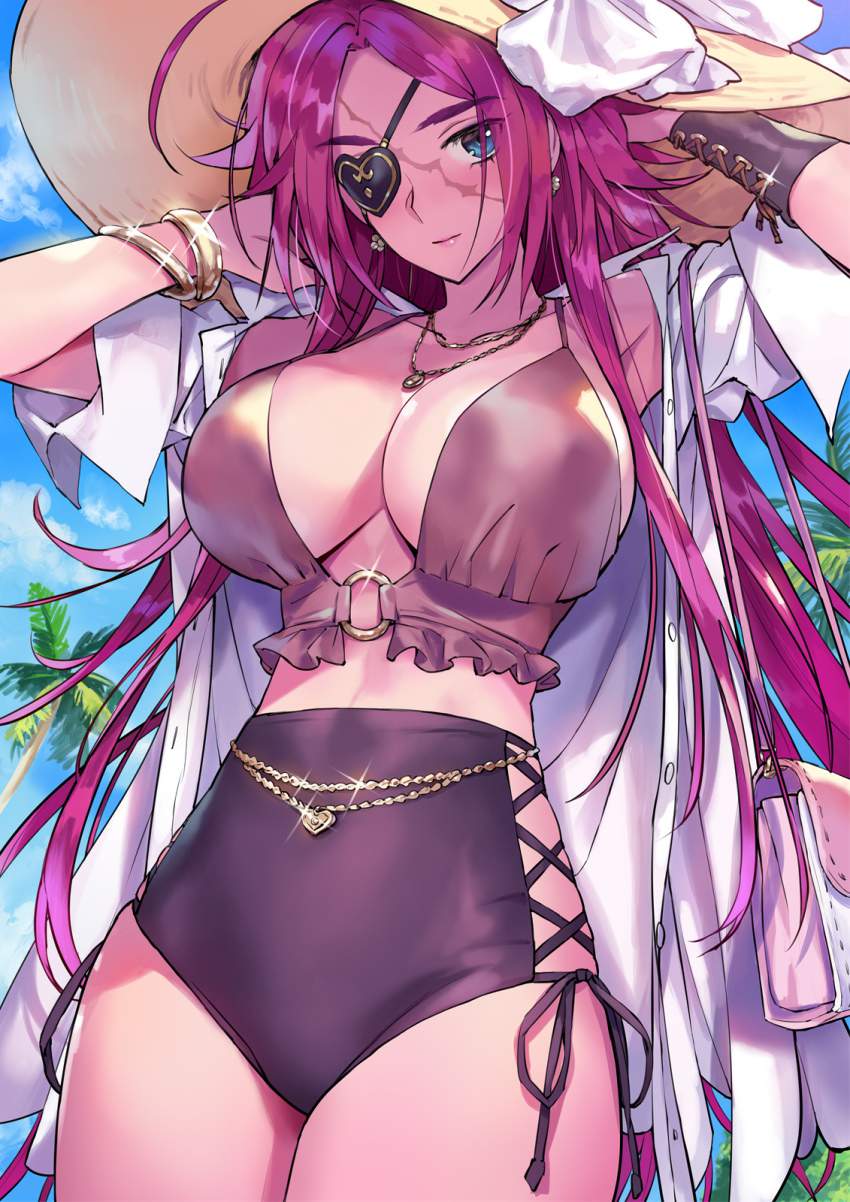 フランシス・ドレイクのセクシーで抜ける二次エロ画像集【Fate Grand Order】