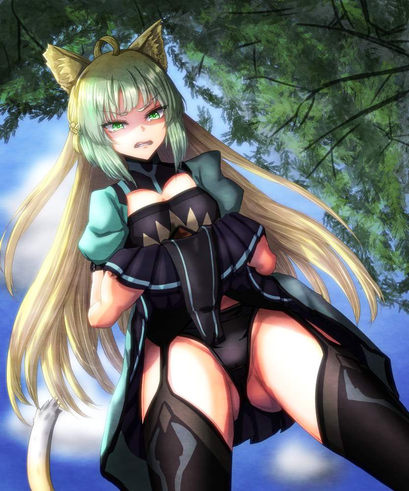 快楽に堕ちそうになってるアヘ顔のアタランテ抜けるエロ画像!【Fate Grand Order】