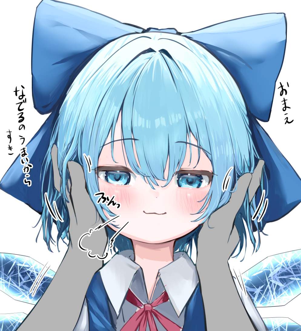 チルノのオナニー姿を想像するだけでめっちゃ抜けるエロ画像【東方Project】