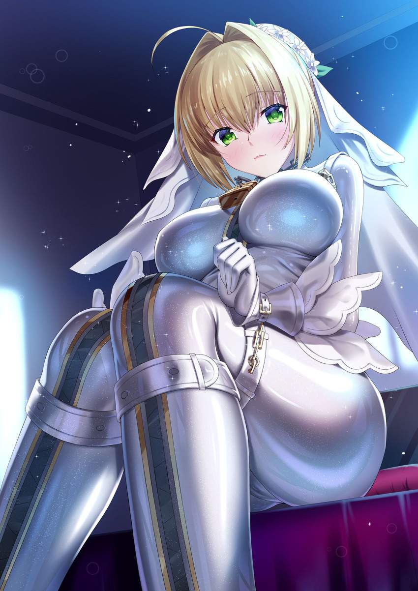 【Fate Grand Orderエロ画像】ネロ・クラウディウスのアヘ顔を見たい人向けの秘密部屋がこちらです！