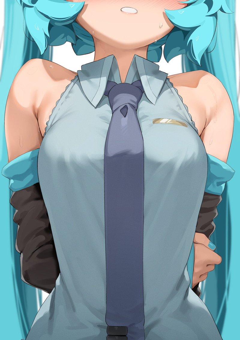 【ボイスロイド】声優さんのエロボイスに合わせて鑑賞したい初音ミクの抜けるエロ画像