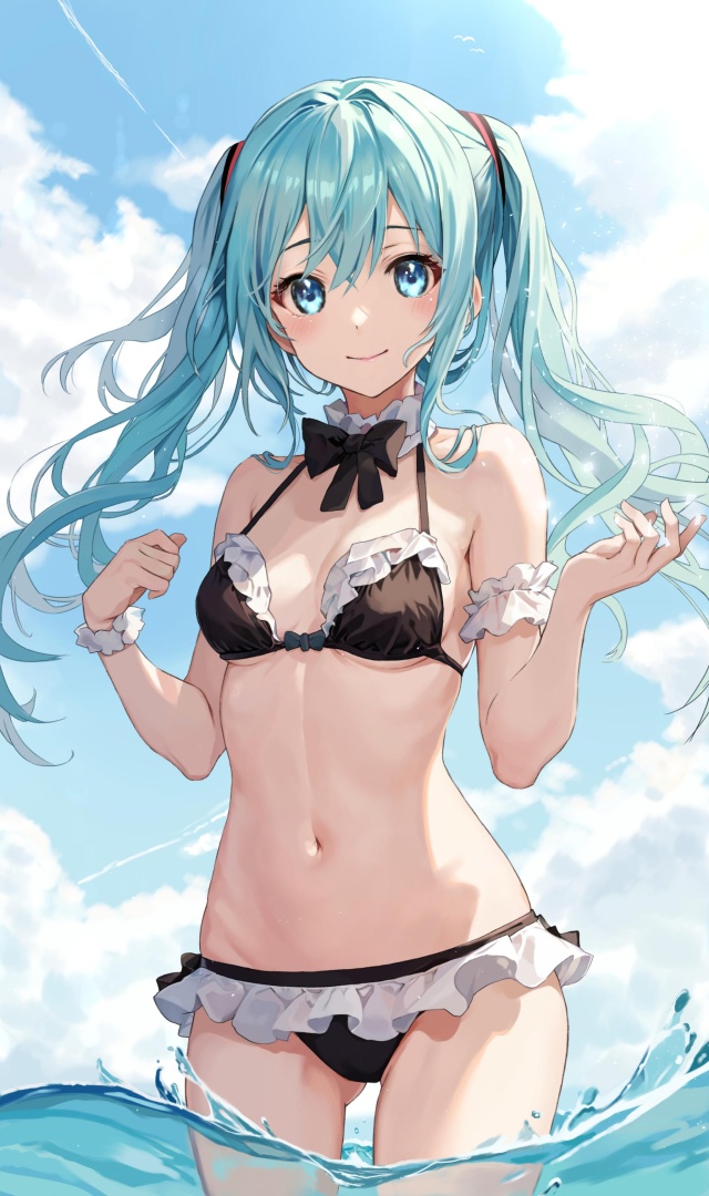 【ボーカロイド】初音ミクとハメハメ濃厚Ｈがしたくなる二次エロ画像