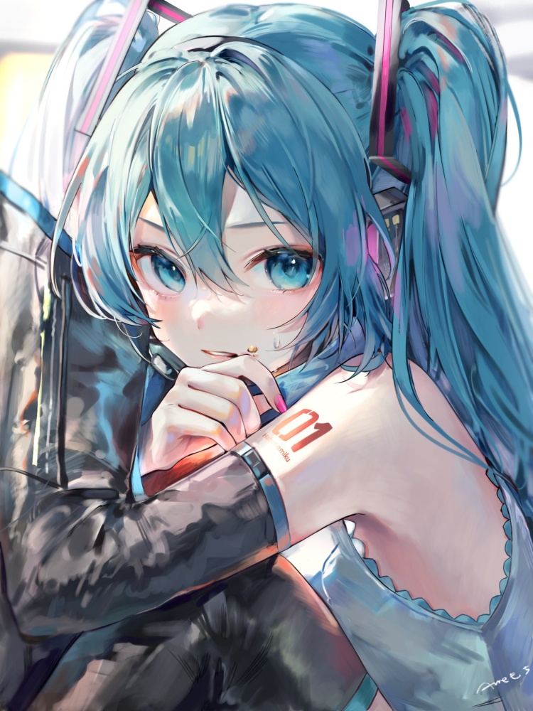 【ボーカロイド】初音ミクの可愛いHな二次エロ画像