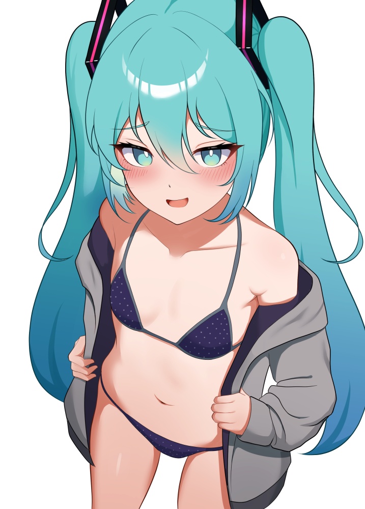 【ボーカロイド】初音ミクのエロカワイイ画像を無料でまとめて貼っていくぜ☆