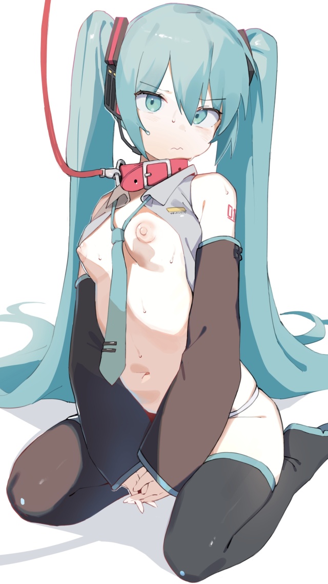 【ボーカロイド】初音ミクの無料(フリー)の二次エロ画像集