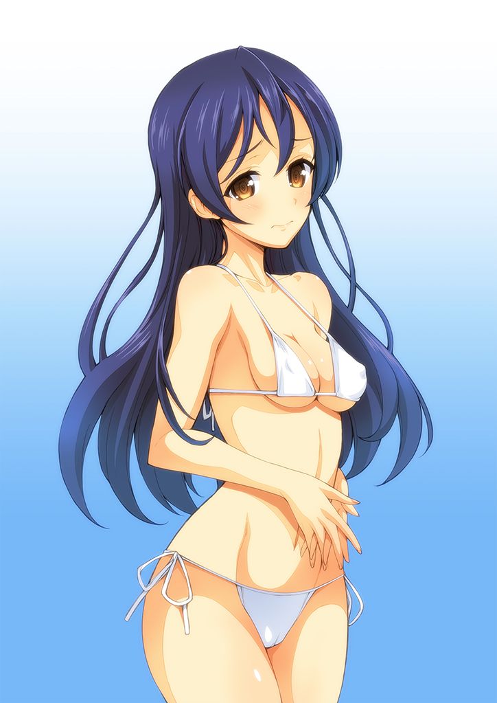 【ラブライブ!】園田海未の中出し二次エロ画像まとめ