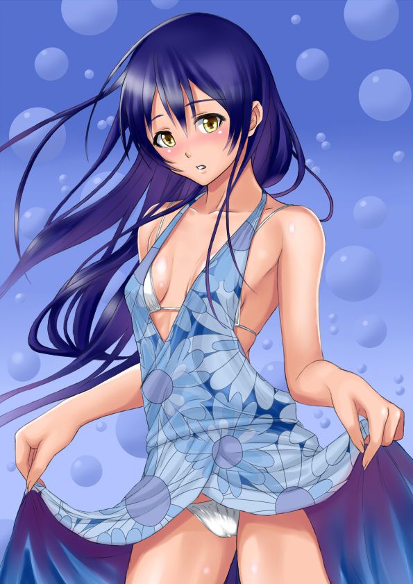 【ラブライブ!】園田海未の中出し二次エロ画像まとめ
