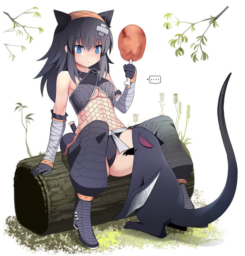 【モンスターハンター】ナルガ装備の無料(フリー)の二次エロ画像集