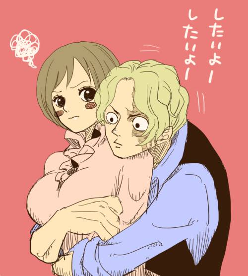 【ワンピース】コアラの抜けるセックス写真画像集