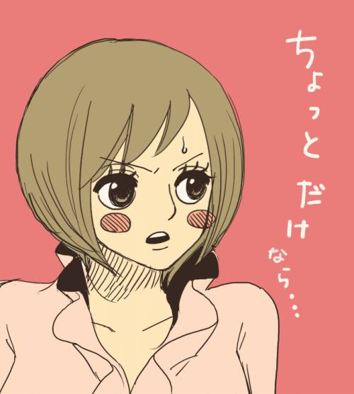 【ワンピース】コアラの抜けるセックス写真画像集