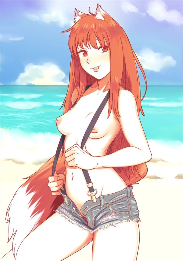 【狼と香辛料】ホロの抜けるセックス写真画像集